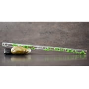 Hall Crystal Flute 11204 - Inline Glass Piccolo in C - Green Ivy