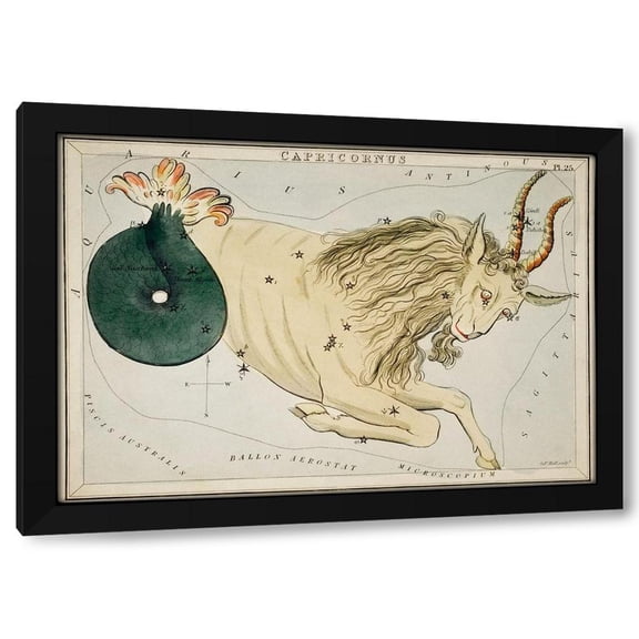 Sidney Hall 14x11 Black Modern Wood Framed Wall Art Titled - Astronomical chart illustration of the Zodiac Capricornus