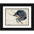 thumbnail image 1 of Hall, Sidney 18x14 Black Ornate Wood Framed with Double Matting Museum Art Print Titled - Astronomical chart illustration of the Taurus, 1 of 4