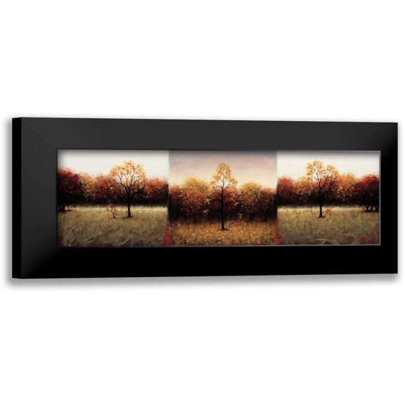 Hall, Travis 14x7 Black Modern Framed Museum Art Print Titled - Trois Scenes