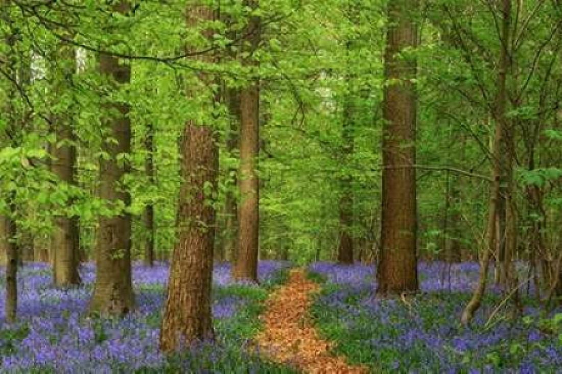 Haller Canvas Art - Lars Van de Goor (12 x 18)