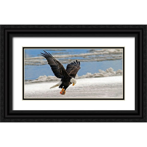 Hallkc 24x14 Black Ornate Wood Framed with Double Matting Museum Art Print Titled - The Prize