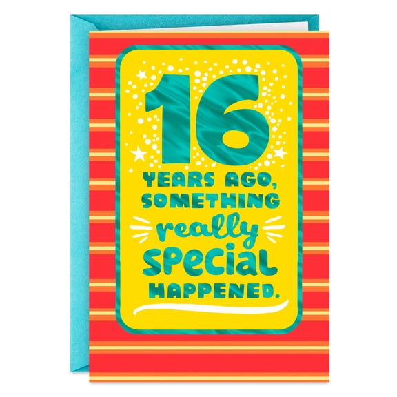 Hallmark 16th Birthday Card (Special Day When You Were Born)