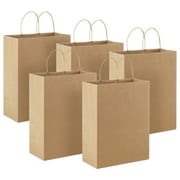 5-Pack Large Gift Bag Bundle (Brown Kraft Paper)