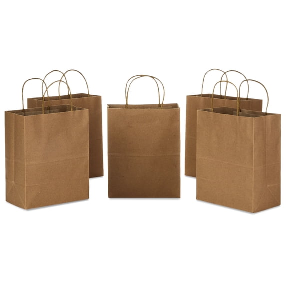 Hallmark 5-Pack Medium Gift Bag Bundle (Solid Kraft Brown)