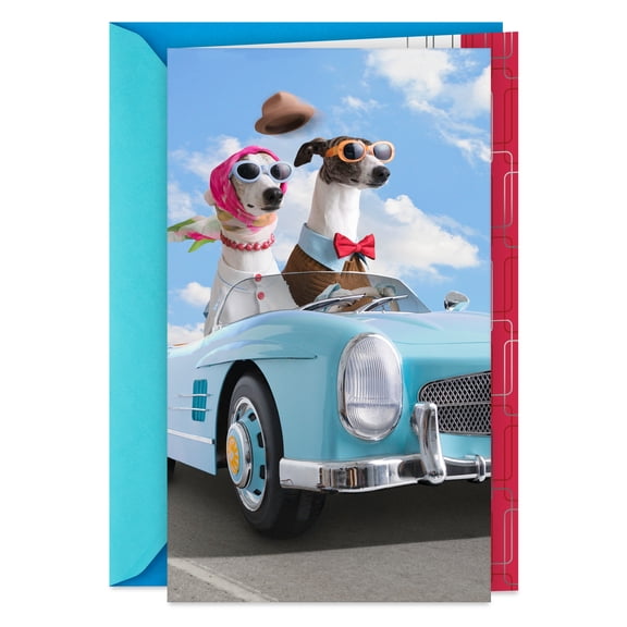Hallmark Anniversary Card (Dogs Driving Blue Convertible Car)