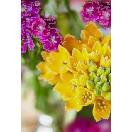 Hallmark Anyday Events Greeting Card