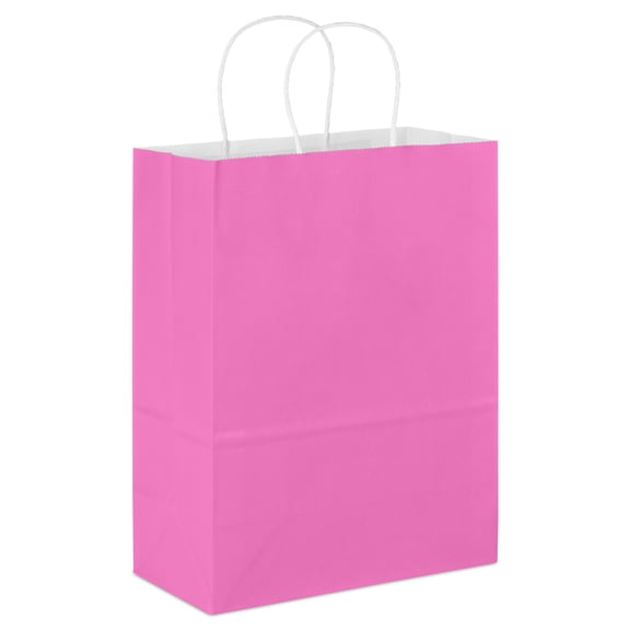 Hallmark Large Gift Bag (Solid Bright Pink)