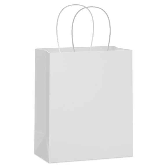Hallmark Medium Gift Bag (Solid White)