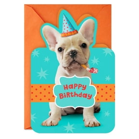 Hallmark Birthday Card (Party Your Paws Off)