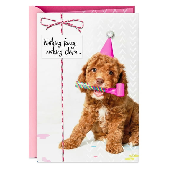 Hallmark Birthday Card (Wishing You the Best Day Ever)