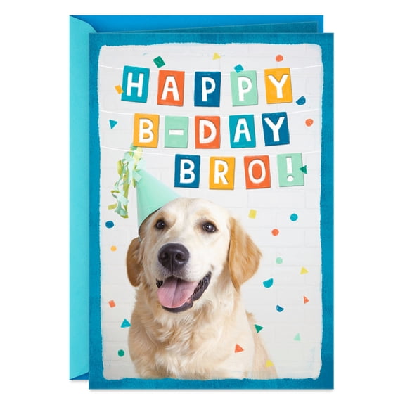 Hallmark Birthday Card for Brother (You're a Good Bro and a Good Friend)