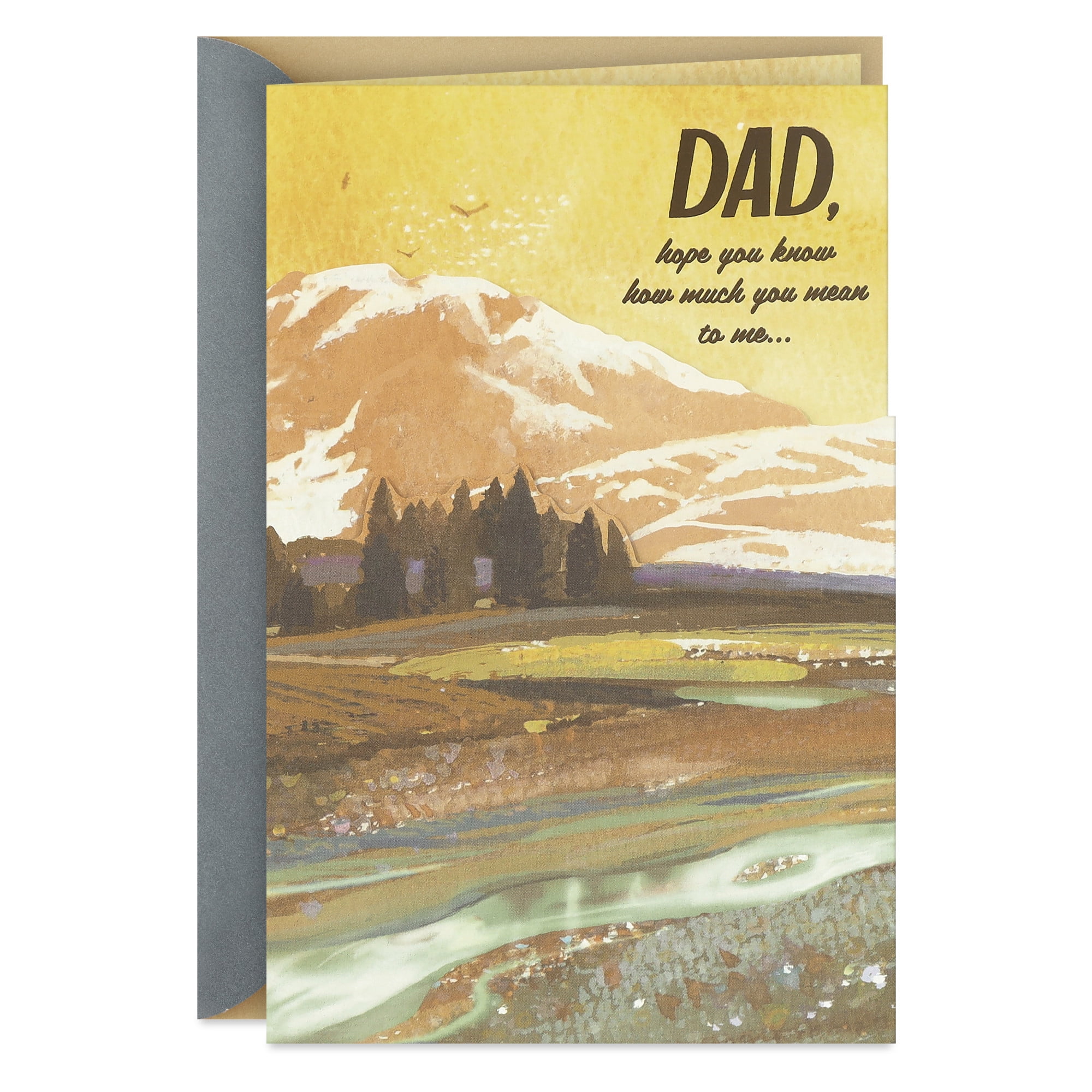Hallmark Birthday Card for Dad (How Much You Mean to Me)