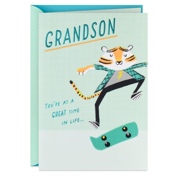 Hallmark Birthday Card for Grandson (You're At a Great Time in Life)