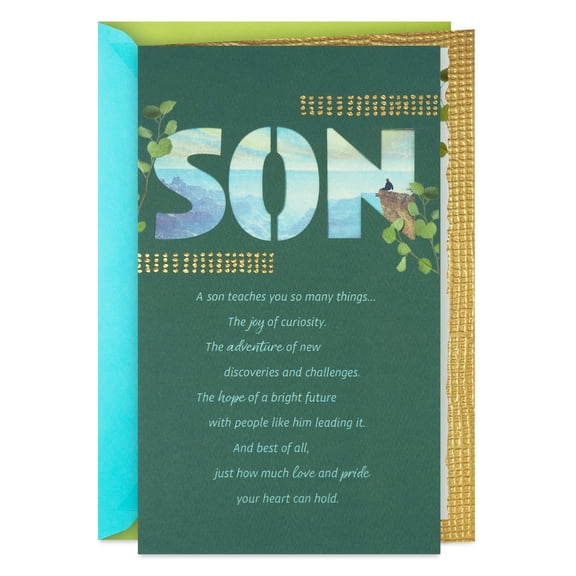 Hallmark Birthday Card for Son (A Son Teaches You So Much)