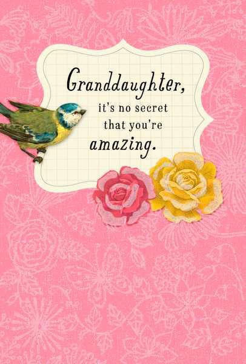 Hallmark Birthday Card For Wife – Floral With Blue/Pink Velvet Ribbon, Jewel Accent
