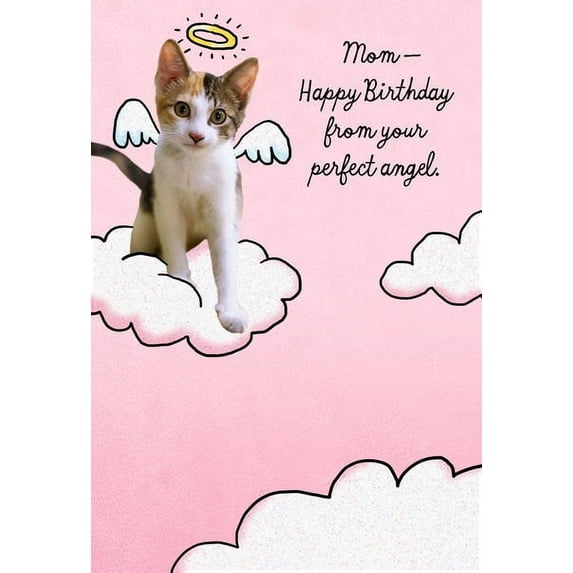 Hallmark Birthday Greeting Card