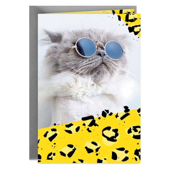 Hallmark Blank All Occasion Card (Cool Cat Wearing Sunglasses)