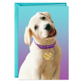 Hallmark Blank All Occasion Card (Dog with Heart Tag)