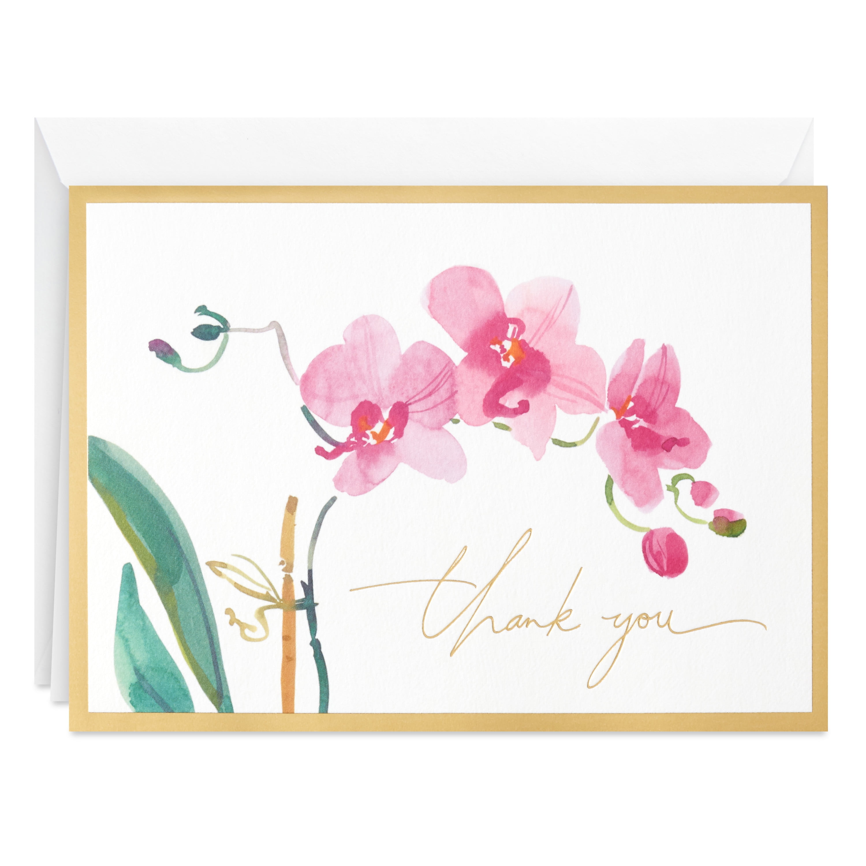 Hallmark Blank ThankYou Notes, Pink Orchid, 12 ct.