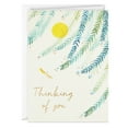 thumbnail image 1 of Hallmark Blank Thinking of You Note Cards, Willow Branches in Sunlight, 24 ct., 1 of 6