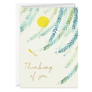Hallmark Blank Thinking of You Note Cards, Willow Branches in Sunlight, 24 ct.