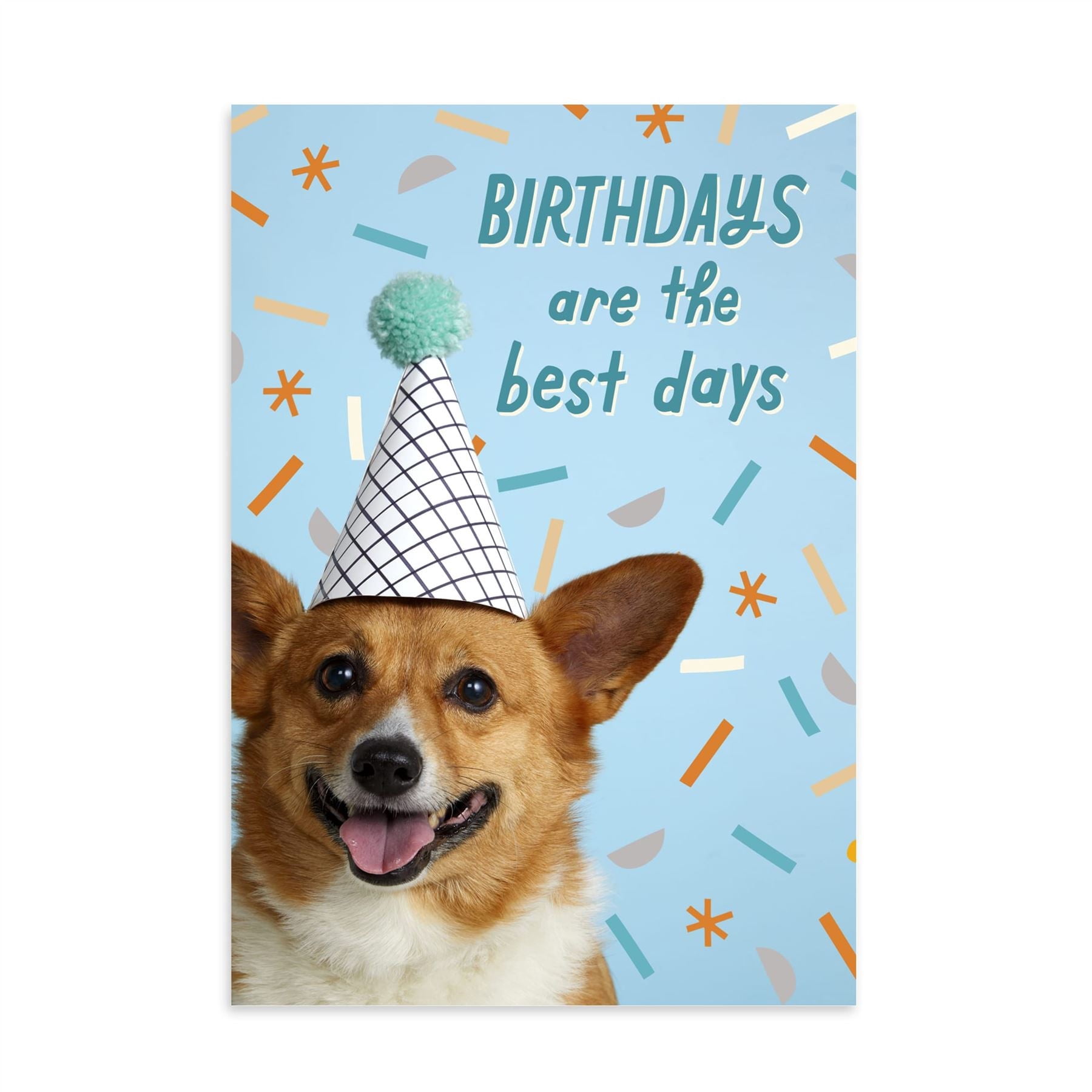 Hallmark Business Bulk Birthday Cards (Corgi in Party Hat), 25 ct.