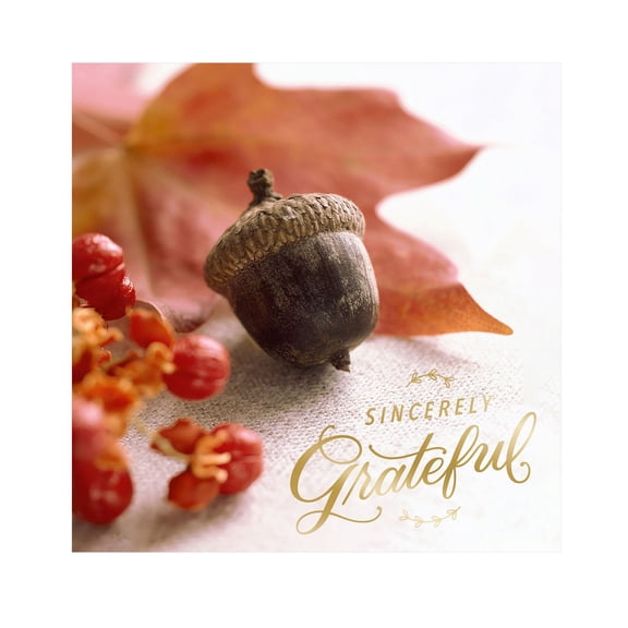 Hallmark Business Bulk Employee Appreciation Cards (Sincerely Grateful), 25 ct.
