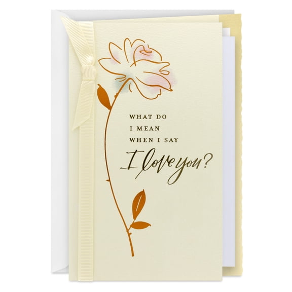 Hallmark Anniversary Card for Husband, Wife, Significant Other (I Mean I Love You)