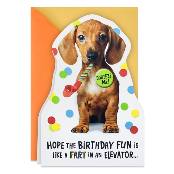 Hallmark Funny Musical Birthday Card With Sound (Like a Fart in an Elevator)