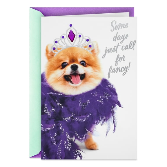 Hallmark Birthday Card (Today Calls For Fancy)
