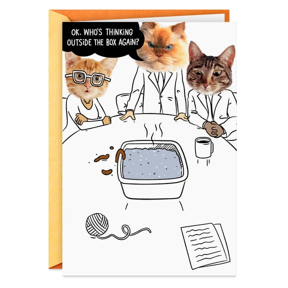 Hallmark Shoebox Funny Birthday Card (Thinking Outside the Cat Box)