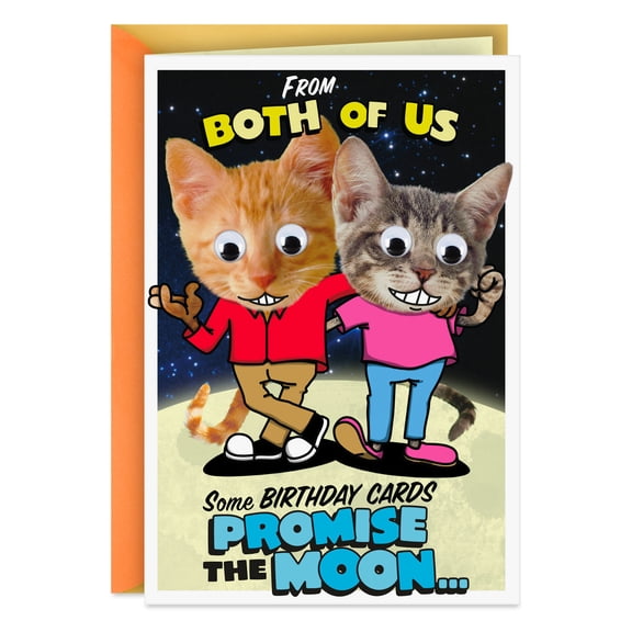 Hallmark Funny Pop-Up Birthday Card From Both (Mooning Cats)