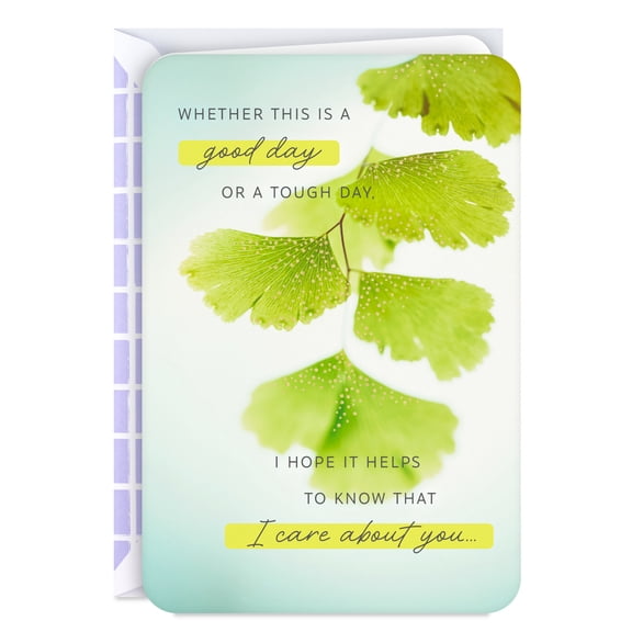 Hallmark Just Because Encouragement Card (I Care About You, Today and Every Day)