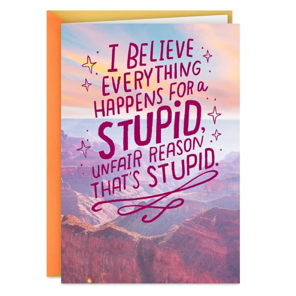 Hallmark Shoebox Funny Support Card (Stupid Reasons)