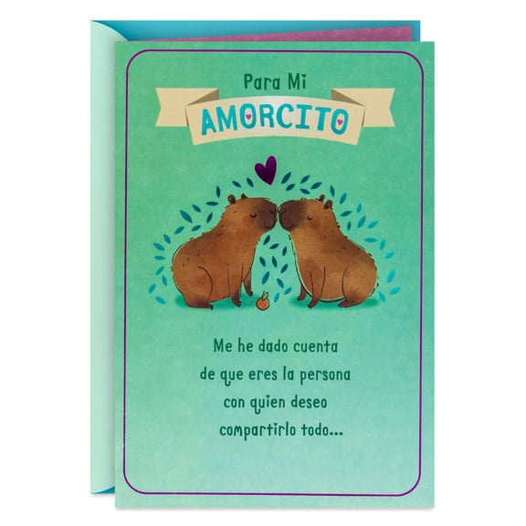 Hallmark VIDA Funny Spanish-Language Love Card (Share Everything With You)