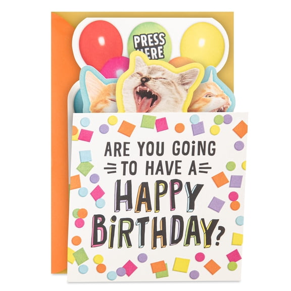 Hallmark Funny Musical Pop-Up Birthday Card (Singing Cats)
