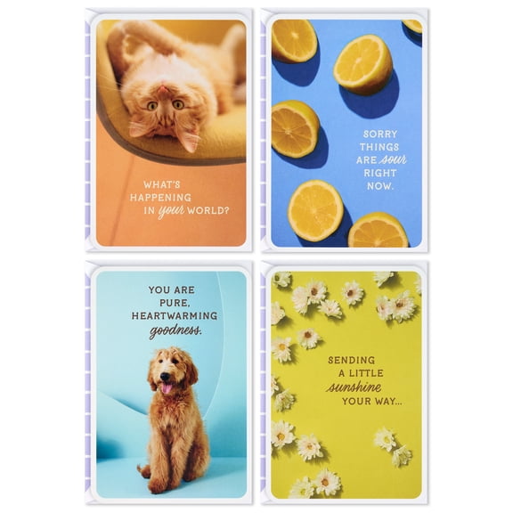 Hallmark Just Because Assorted Multi-Occasion Cards (Sunny and Sweet), pack of 4