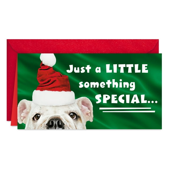 Hallmark Money Holder Christmas Card (Decorate Your Christmas with Fun)
