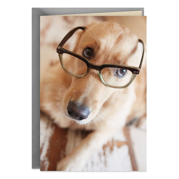 Hallmark Blank Card (Golden Retriever Dog Wearing Glasses)