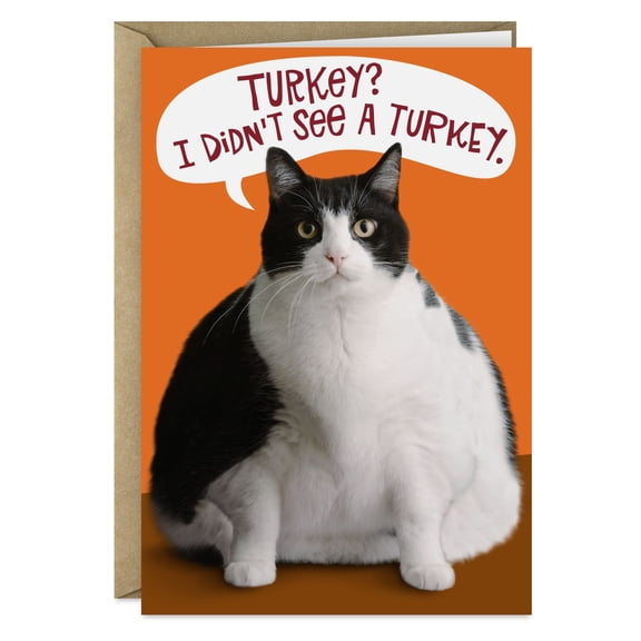 Hallmark Shoebox Funny Thanksgiving Card (Fat Cat)
