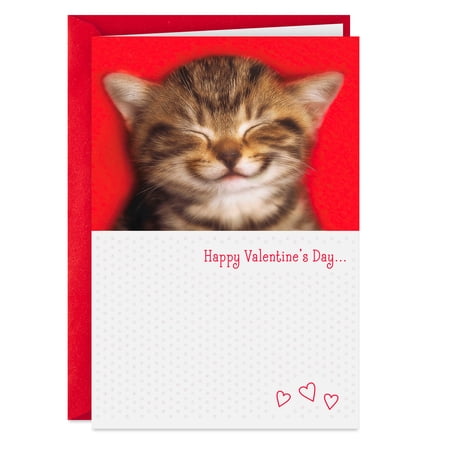 Hallmark Valentine's Day Card (You Make Me Smile)