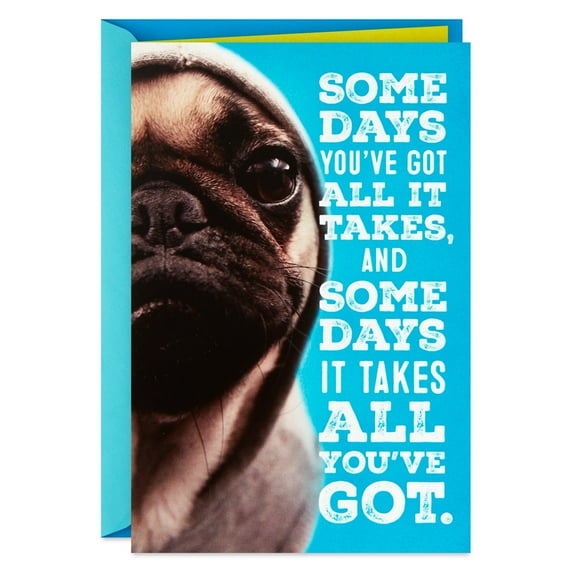 Hallmark Encouragement Card (Hang In There)