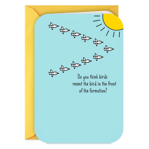 Hallmark Funny Birthday Card (Birds Flying in Formation)