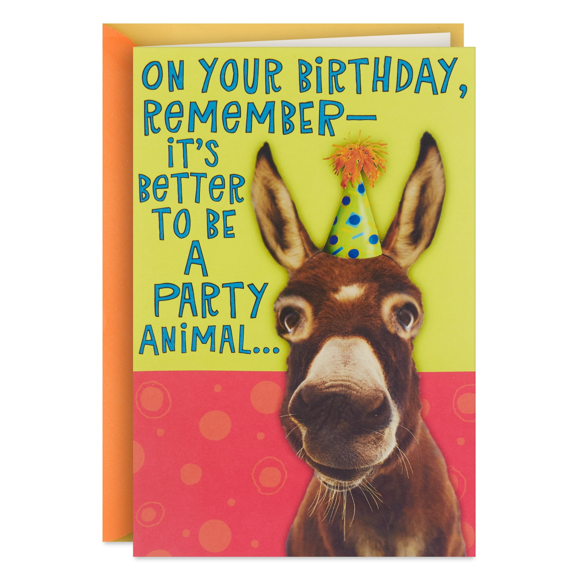 Hallmark Funny Birthday Card (Farting Donkey)