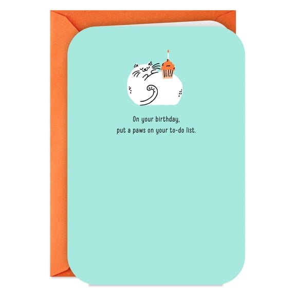 Hallmark Funny Birthday Card (Give No Fluffs)
