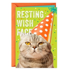Hallmark Funny Birthday Card (Resting Wish Face)