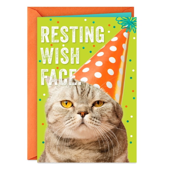Hallmark Funny Birthday Card (Resting Wish Face)