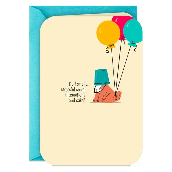 Hallmark Funny Birthday Card (Stressful Social Interactions and Cake)