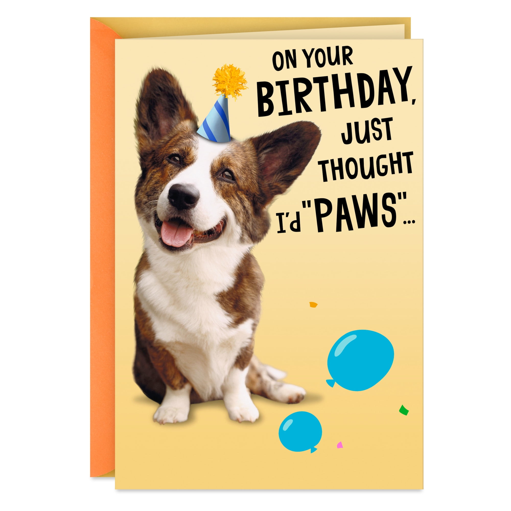 Hallmark Funny Birthday Card (Wishing You a Treat-Filled Celebration)